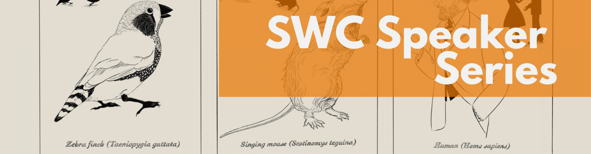 SWC Speaker series - Michael Long - Blog Banner