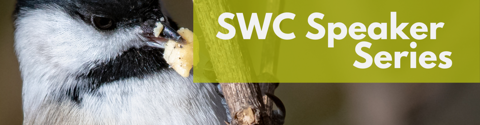 SWC Speaker series - Dmitriy Aronov - Blog Banner