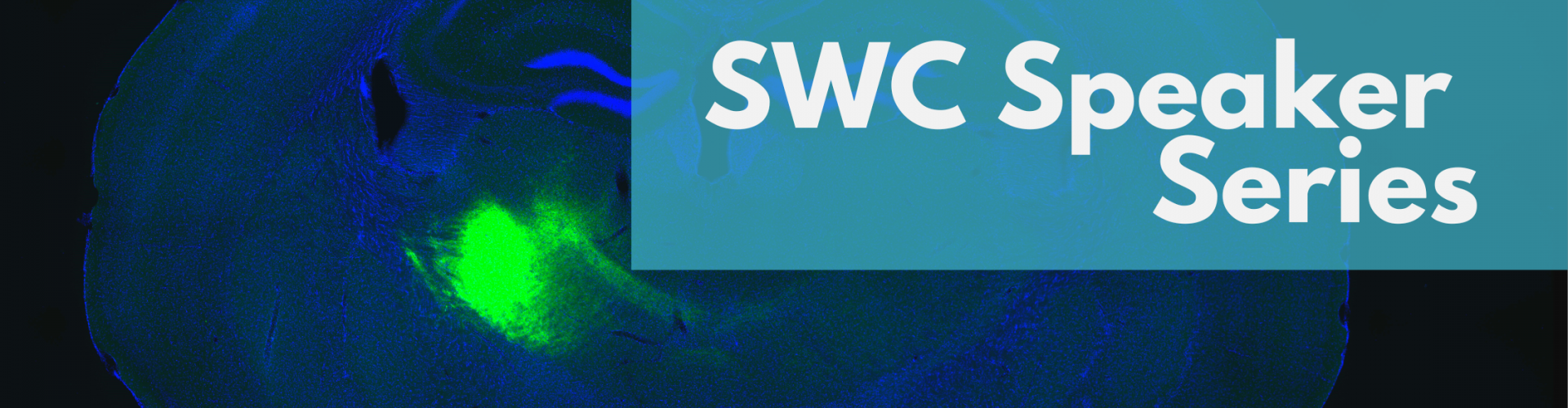 SWC Speaker series - Lina Marcela Carmona - Blog Banner
