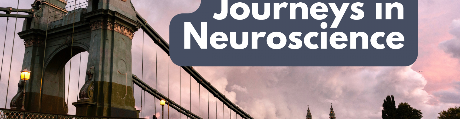 Journeys in Neuroscience Blog Banner - Andy Murray