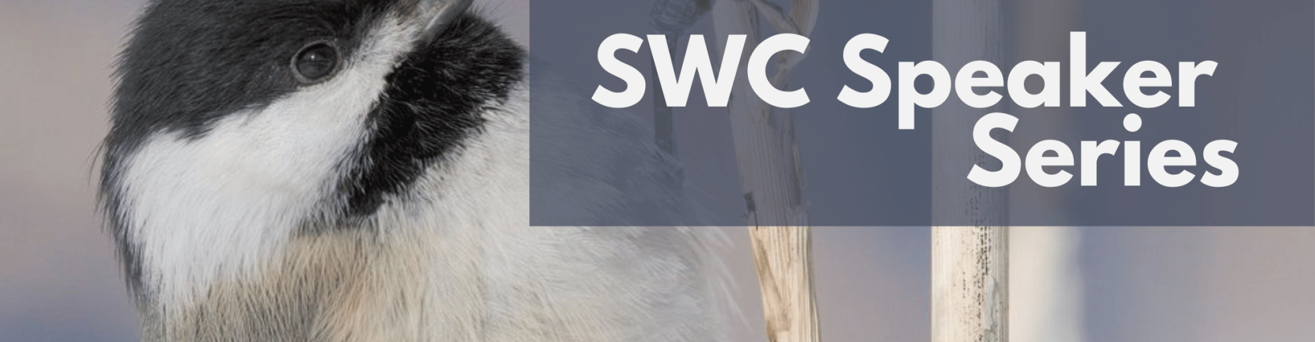 Black-capped chickadee in the wild with text "SWC Speaker Series"