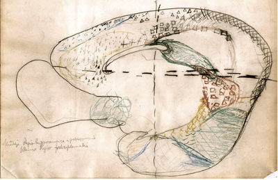 Brain cellular diversity and connectivity as depicted by Brodmann Brain cellular diversity and connectivity as depicted by Brodmann