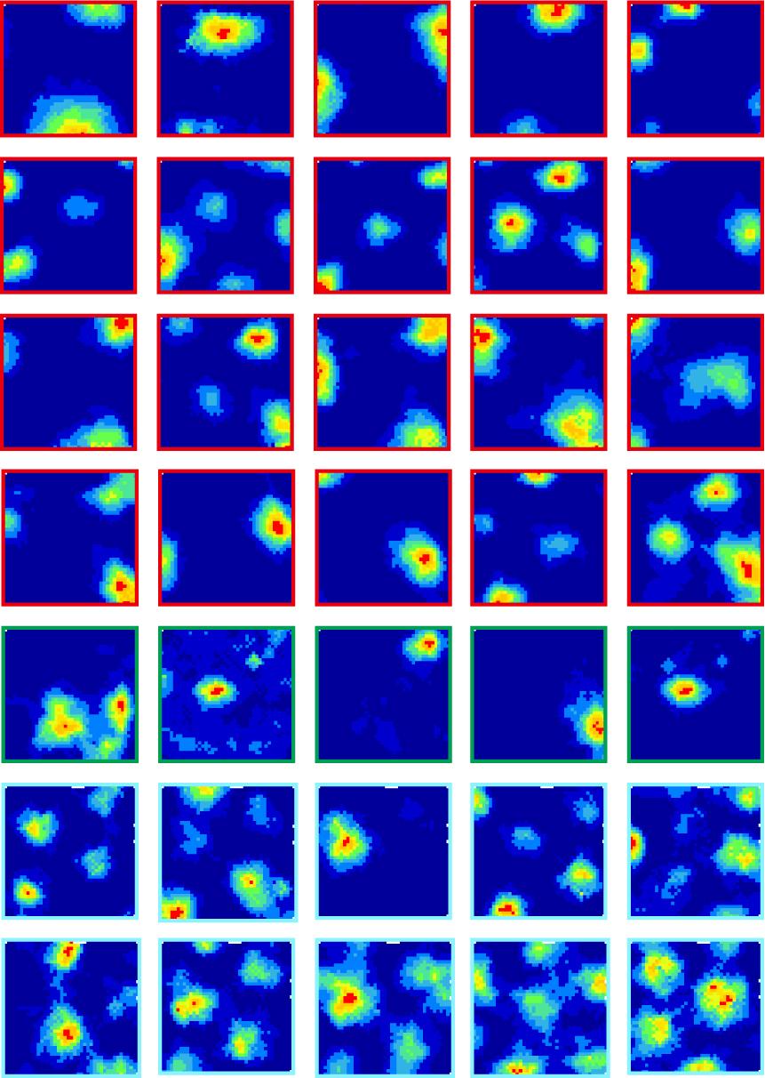 Simultaneously recorded grid cells and place cells using Neuropixels 2.0