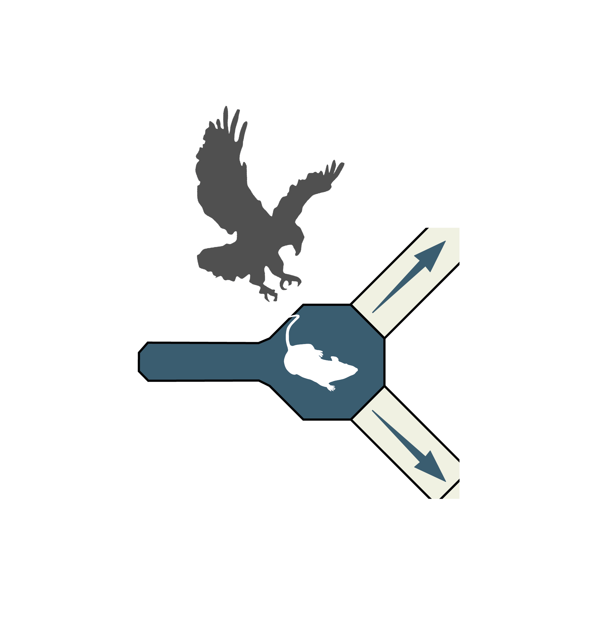 Claudi Branco research image