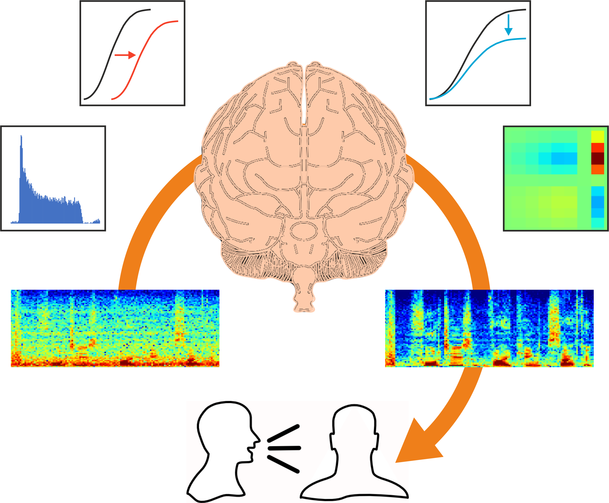 Andrew King research image