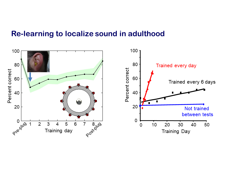 Andrew King research 3