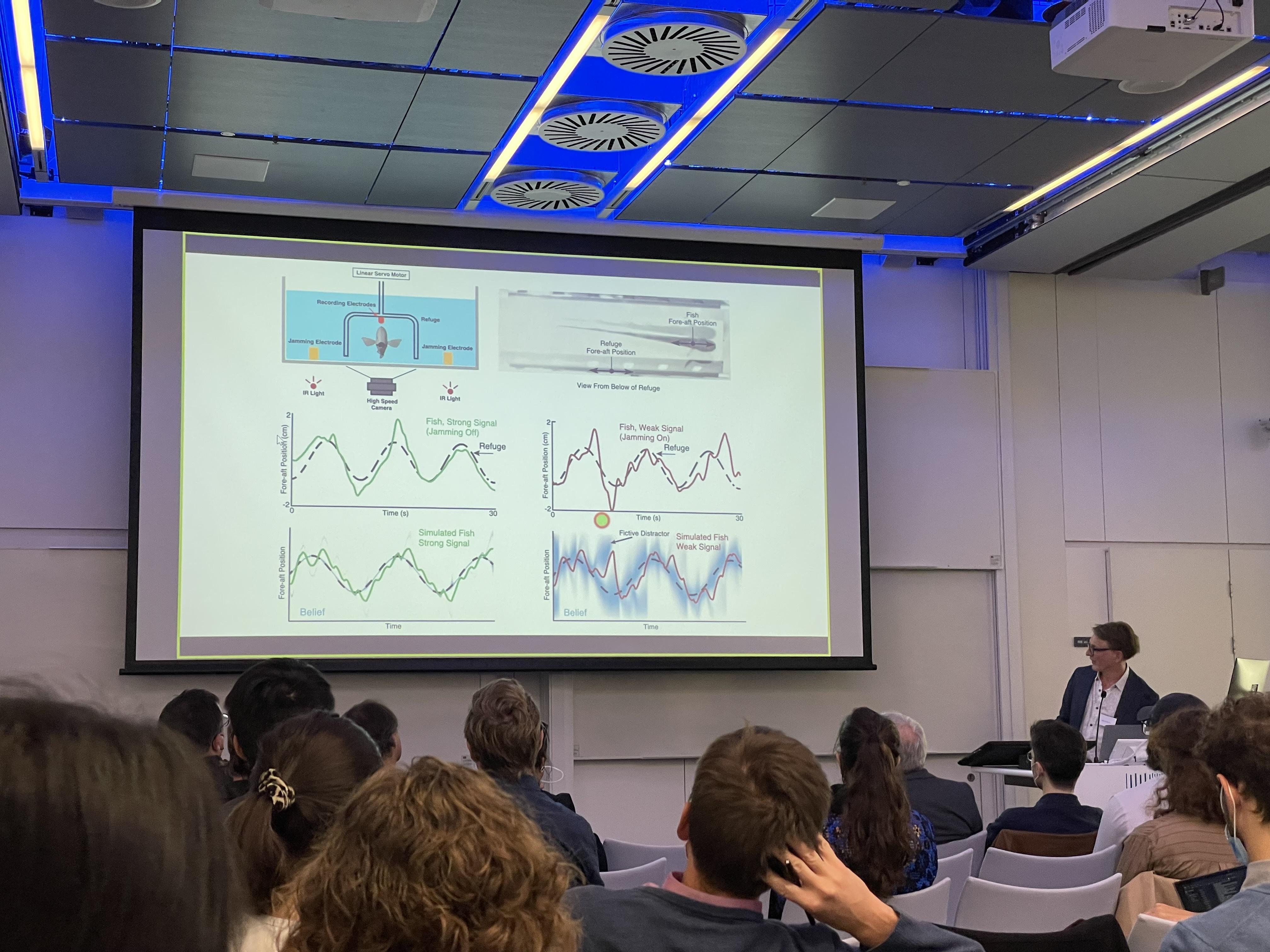 Senses in Motion Malcolm MacIver