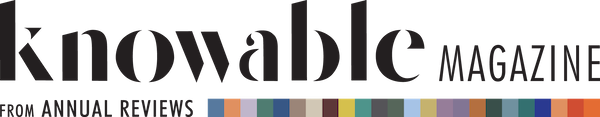 Knowable Magazine Logo