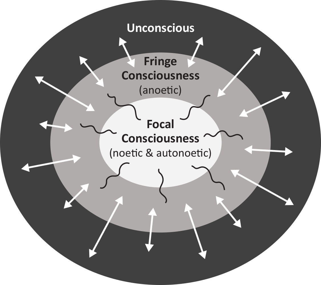 Diagram showing the relation between Focal Consciousness, Fringe Consciousness and Unconscious