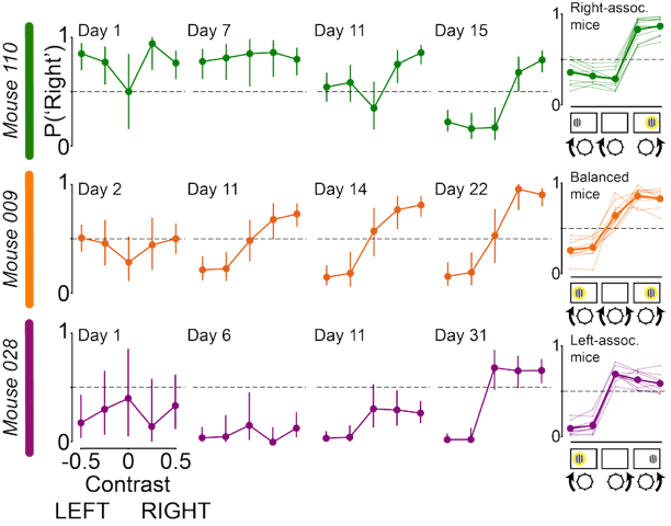 Diagram showing graphs of mouse learning trajectories from Day 1 through to Day 31