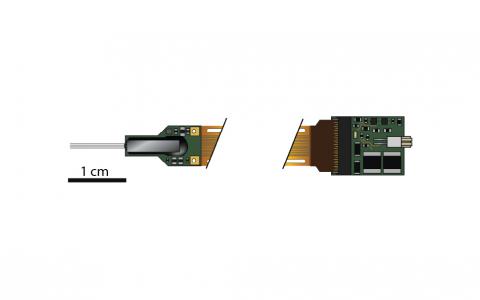 Diagram of Neuropixels 2.0