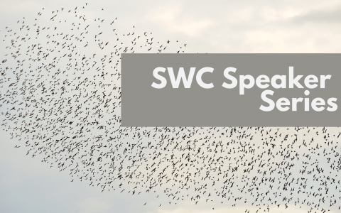 Flock of birds in the sky with SWC Speaker series text overlaid