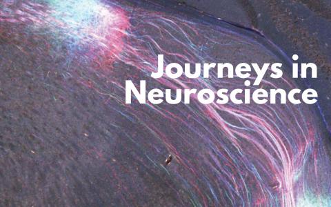 Journeys in Neuroscience Blog Banner