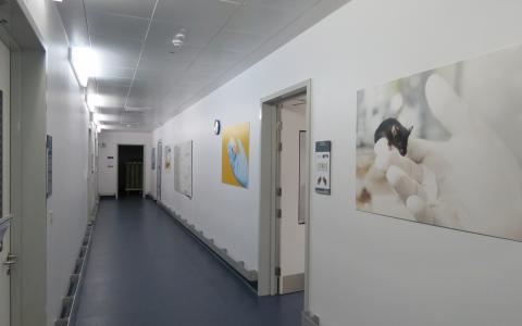 Corridor in NRF with animal photos on the walls