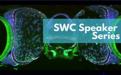 SWC Speaker series - Dr Cris Niell - Blog Banner