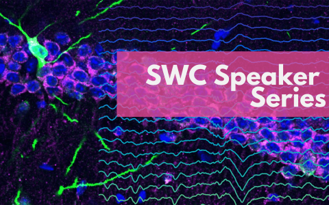 SWC Speaker series - Andre Fenton - Blog Banner - updated