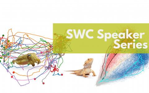 SWC Speaker series - Dr Gilles Laurent - Blog Banner