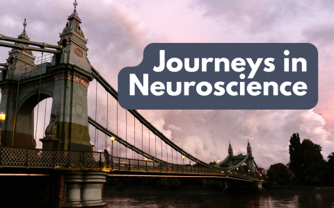 Journeys in Neuroscience Blog Banner - Andy Murray