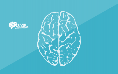 Brain Awareness Week 2023 blog banner 1