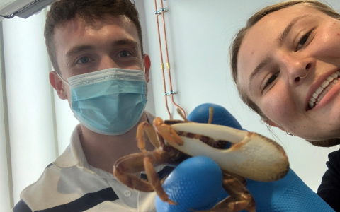 Benjamin Grainger and Sanna Titus holding a Fiddler crab