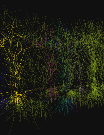 Hippocampus neurons